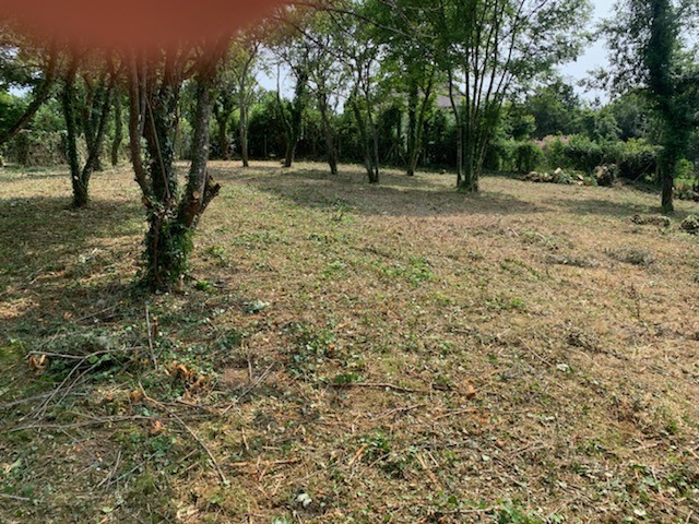 terrain1