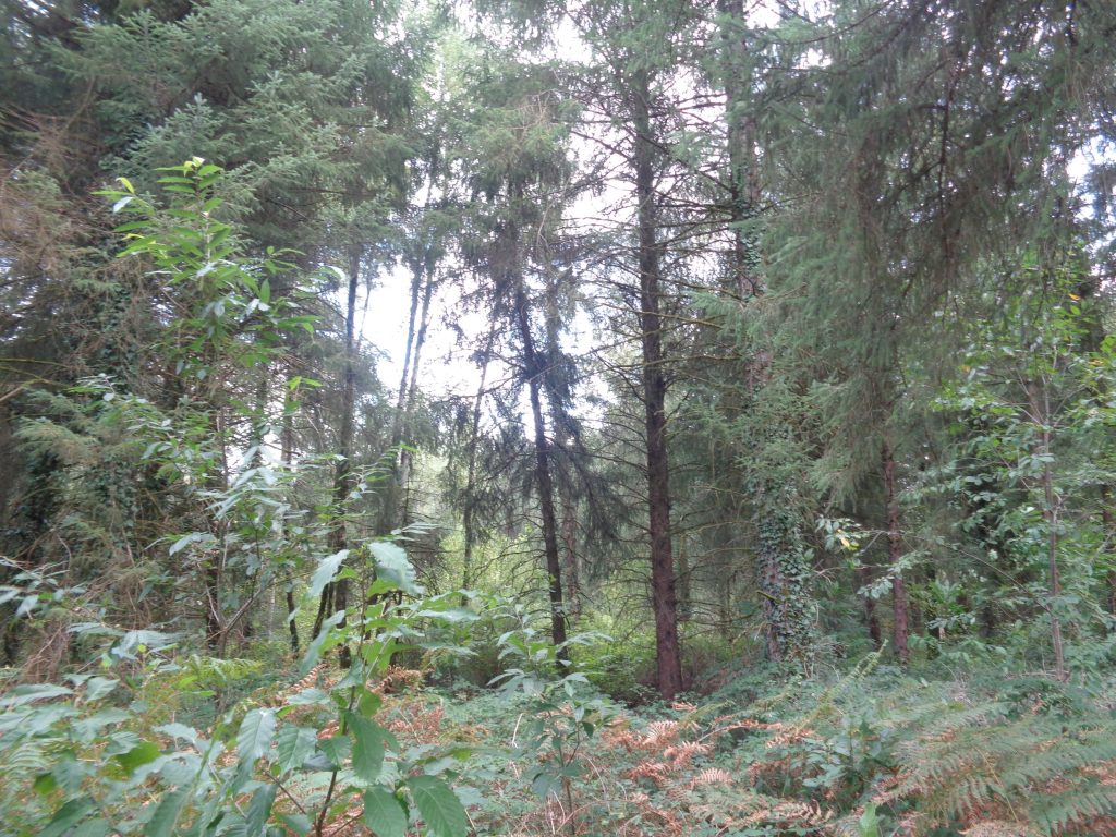 DSC04725