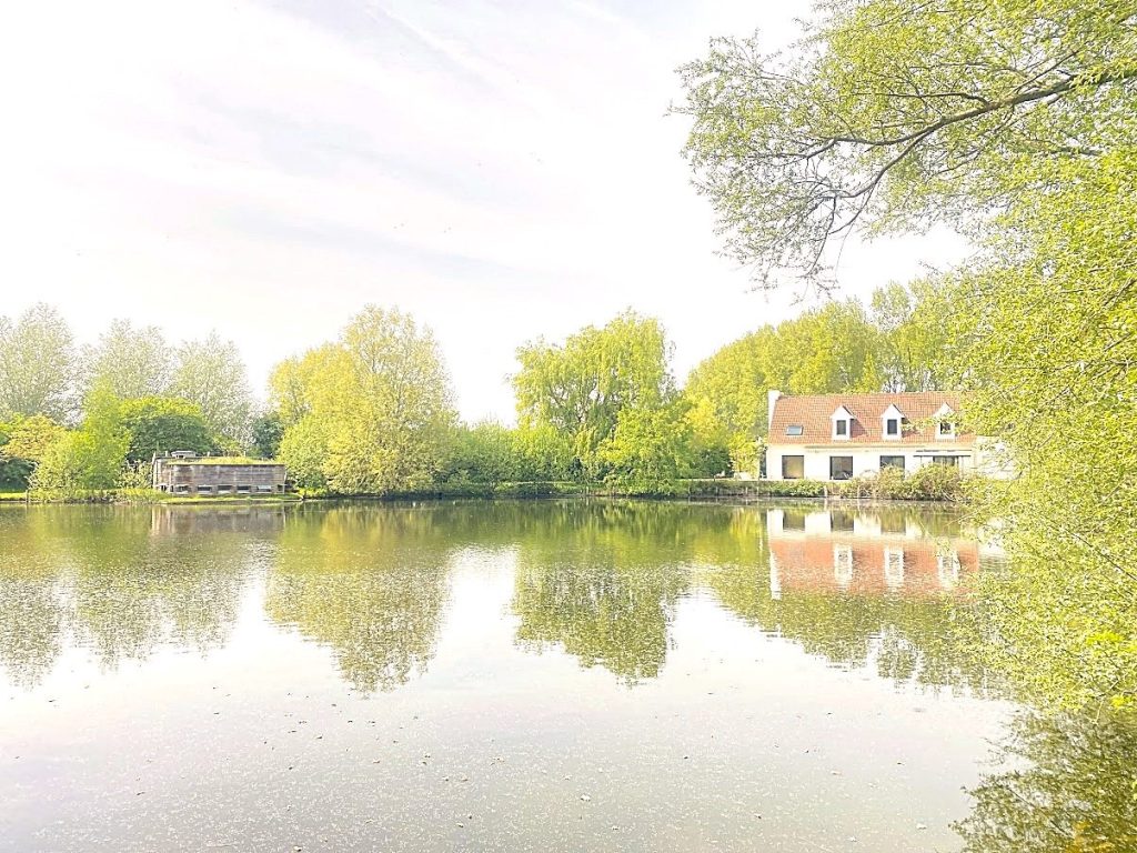 VUE-DE-L-AUTRE-COTE-DE-L-ETANG