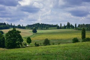 15 Idées Créatives pour Rentabiliser un Terrain de Loisirs ou Agricole